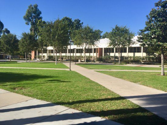 California State University Long Beach